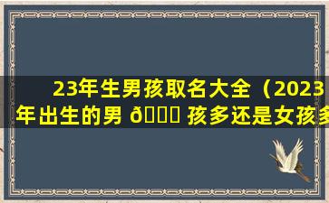 23年生男孩取名大全（2023年出生的男 🐝 孩多还是女孩多）